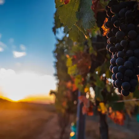 Moulin De Pailleres - Avec Bain Nordique Et Vue Panoramique *
